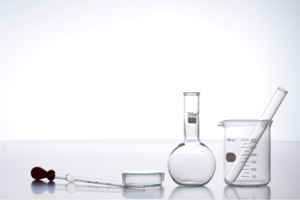 エディットフォースの沿革