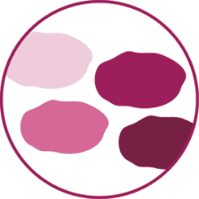 エディットフォース独自の一塩基置換技術